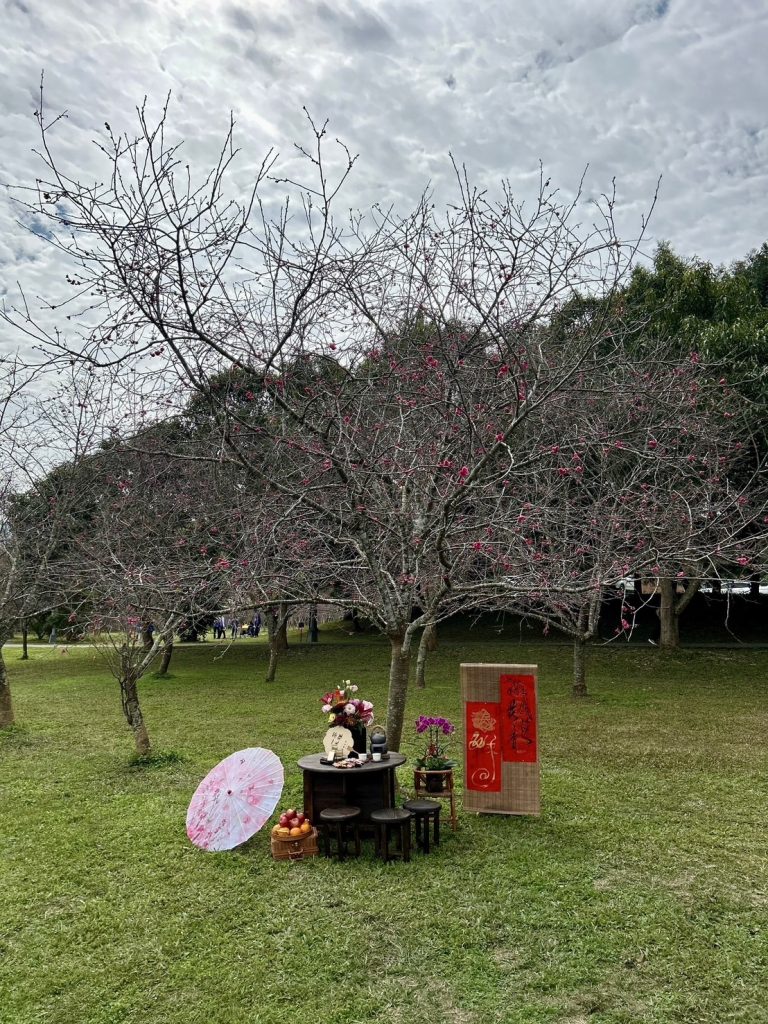 場景一隅.jpg