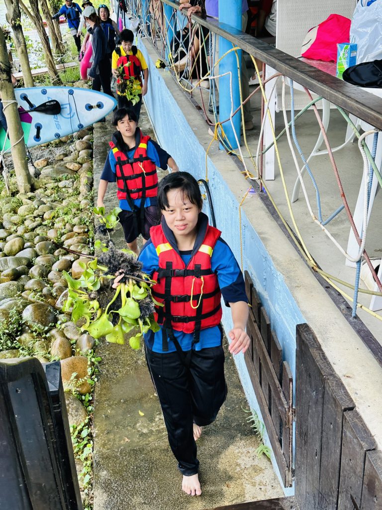 淨湖成果-布袋蓮 淨湖成果-布袋蓮