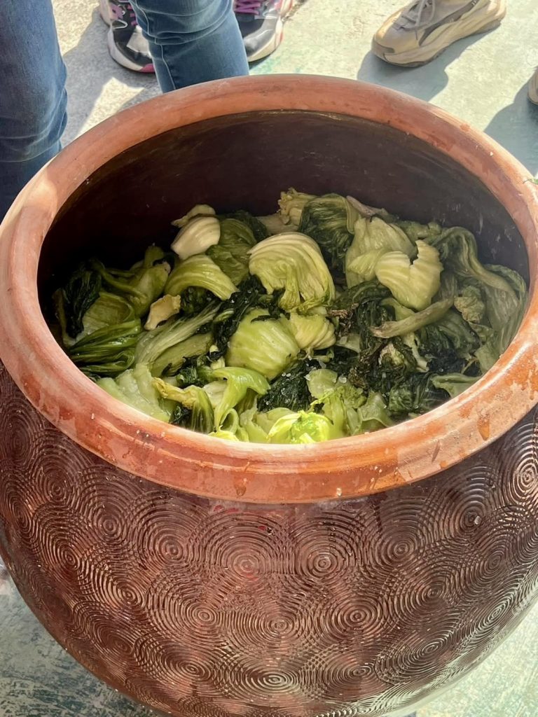 學生搓揉過的芥菜放進醬缸.jpg