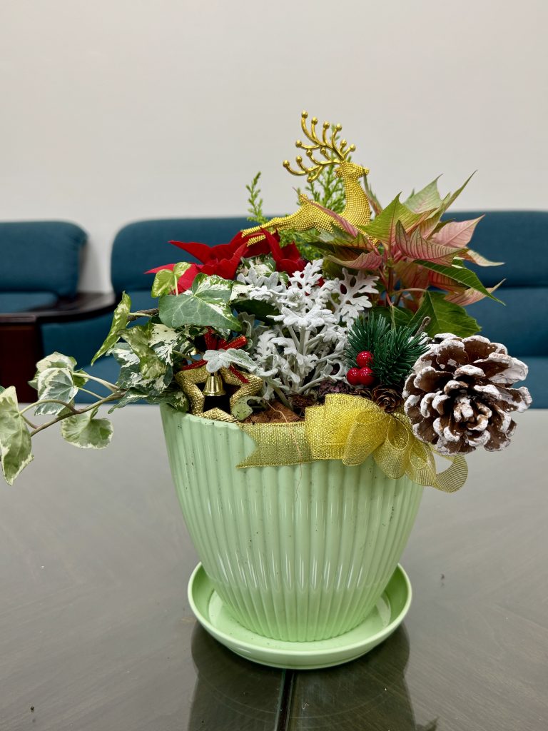 聖誕組合盆栽為大家獻上祝福.jpg